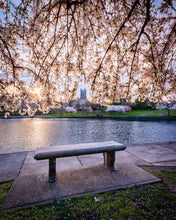 Load image into Gallery viewer, 'Blossom Season 2026'