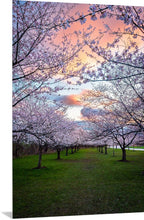 Load image into Gallery viewer, 'Pastel Skies and Pastel Blooms'