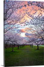 Load image into Gallery viewer, 'Pastel Skies and Pastel Blooms'