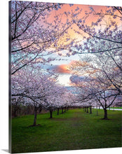 Load image into Gallery viewer, 'Pastel Skies and Pastel Blooms'