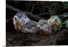 Load image into Gallery viewer, &#39;Whistlepiglets&#39;