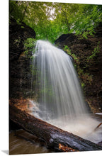 Load image into Gallery viewer, &#39;Spring Beauty&#39;