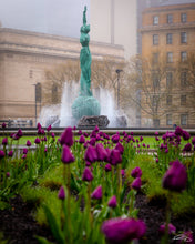 Load image into Gallery viewer, &#39;Purple Haze&#39;