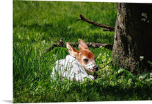 Load image into Gallery viewer, 'Precious'