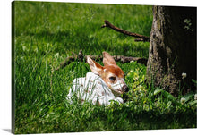 Load image into Gallery viewer, 'Precious'
