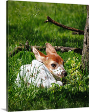 Load image into Gallery viewer, 'Precious'