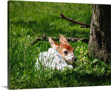 Load image into Gallery viewer, 'Precious'