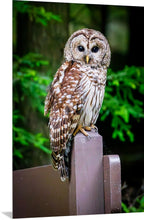Load image into Gallery viewer, 'Official Park Greeter'