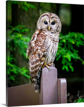 Load image into Gallery viewer, 'Official Park Greeter'
