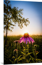 Load image into Gallery viewer, 'Stand Tall'