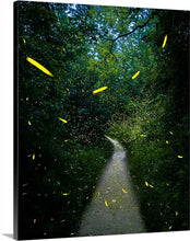 Load image into Gallery viewer, &#39;Through the Kaleidoscope&#39;