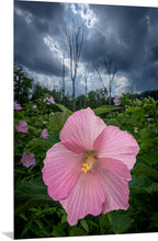 Load image into Gallery viewer, &quot;Sometimes you have to stop &amp; smell the roses...&quot;