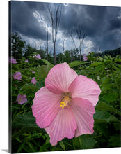 Load image into Gallery viewer, &quot;Sometimes you have to stop &amp; smell the roses...&quot;