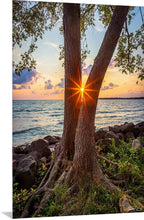 Load image into Gallery viewer, &#39;North Shore, pt. 2&#39;