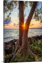 Load image into Gallery viewer, &#39;North Shore, pt. 2&#39;