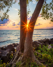 Load image into Gallery viewer, &#39;North Shore, pt. 2&#39;