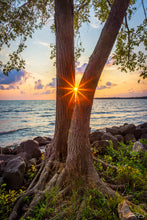 Load image into Gallery viewer, &#39;North Shore, pt. 2&#39;