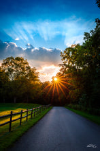 Load image into Gallery viewer, 'Immaculate Vibes'