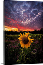 Load image into Gallery viewer, ‘Meet Fred'