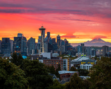 Load image into Gallery viewer, &#39;King City&#39;