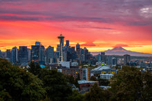 Load image into Gallery viewer, &#39;King City&#39;