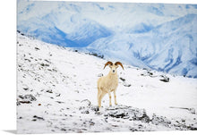 Load image into Gallery viewer, 'Alaska.  Chapter One.'