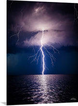 Load image into Gallery viewer, 'Bat __ Crazy’