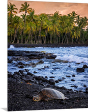 Load image into Gallery viewer, 'Sleepy Honu'