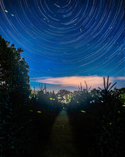 Load image into Gallery viewer, &#39;Happy Trails&#39;