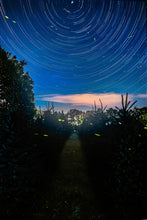Load image into Gallery viewer, &#39;Happy Trails&#39;