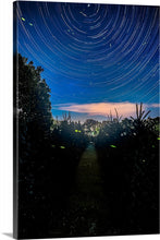 Load image into Gallery viewer, &#39;Happy Trails&#39;