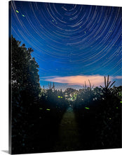 Load image into Gallery viewer, &#39;Happy Trails&#39;