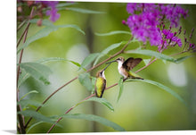 Load image into Gallery viewer, 'My Life is Complet(er)'