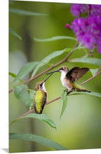 Load image into Gallery viewer, 'My Life is Complet(er)'