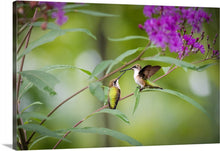 Load image into Gallery viewer, 'My Life is Complet(er)'