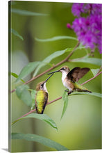 Load image into Gallery viewer, 'My Life is Complet(er)'