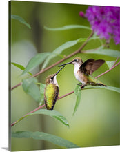 Load image into Gallery viewer, 'My Life is Complet(er)'