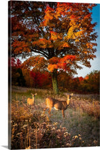 Load image into Gallery viewer, &#39;Fall Portrait&#39;