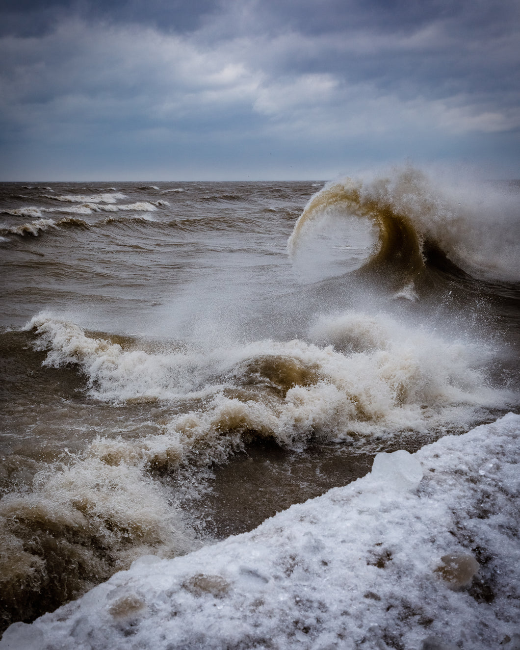 'Lake Erie Monster'