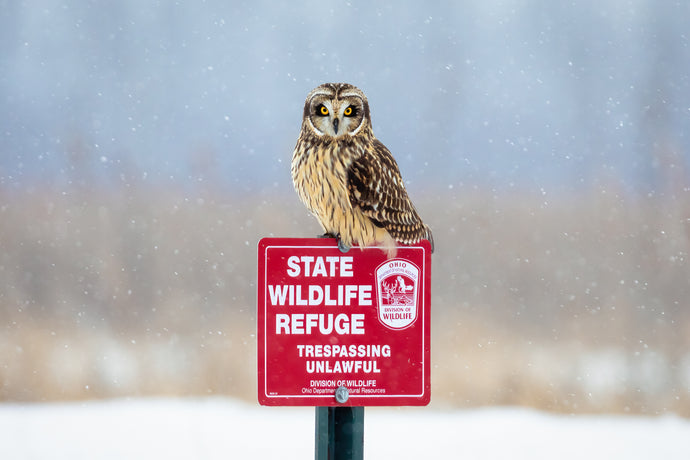 'You Shall Not Pass!'