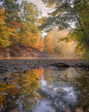 Load image into Gallery viewer, &#39;Fall Along the Rock&#39;