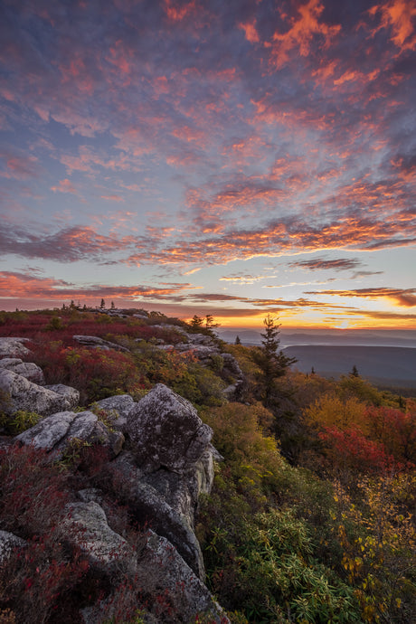 'Show me your favorite place and I'll show you mine'