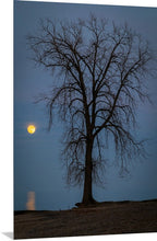 Load image into Gallery viewer, &#39;Farewell to The Tree, Part Two&#39;