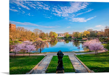 Load image into Gallery viewer, &#39;Blossom Season&#39;