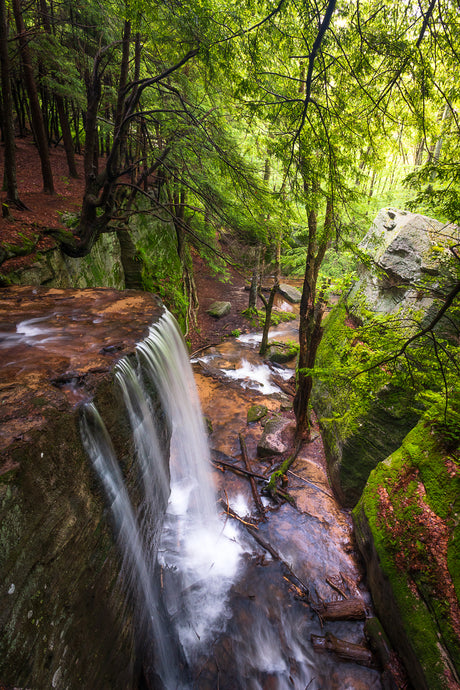 'Hector Falls, Allegheny National Forest'