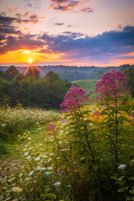 'The Hills Are Alive'