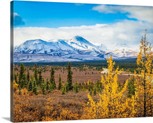 Load image into Gallery viewer, &#39;Alaska.  Chapter Four.&#39;