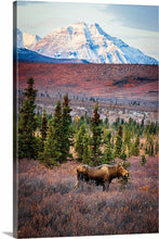 Load image into Gallery viewer, &#39;Alaska.  Chapter Three.&#39;
