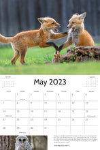 Load image into Gallery viewer, 2023 &#39;Ohio - Portrait of a Year&#39; - 12&quot;x9&quot; full gloss calendar